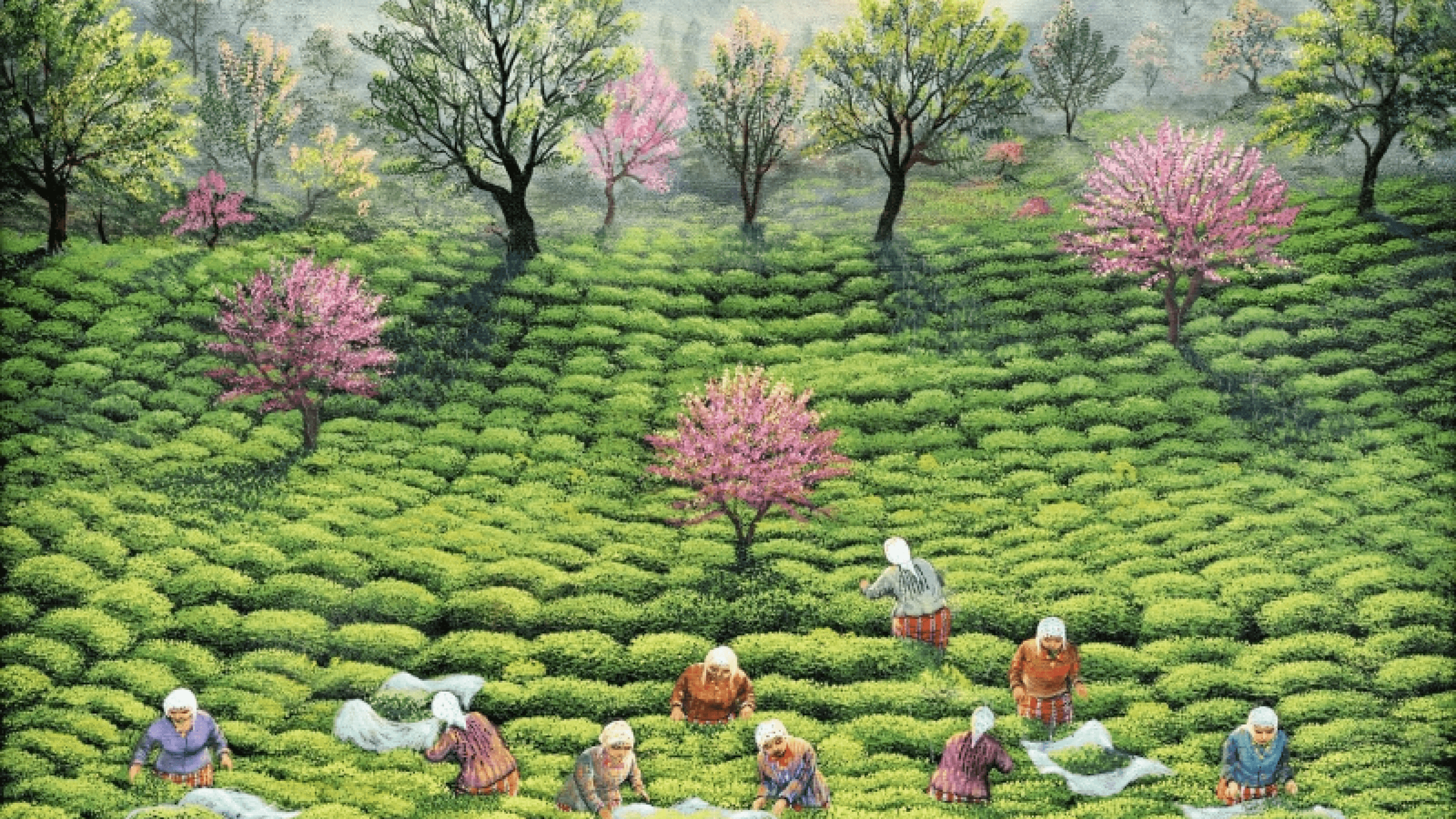 Aralık 2024 Sonu Portföy Durumu